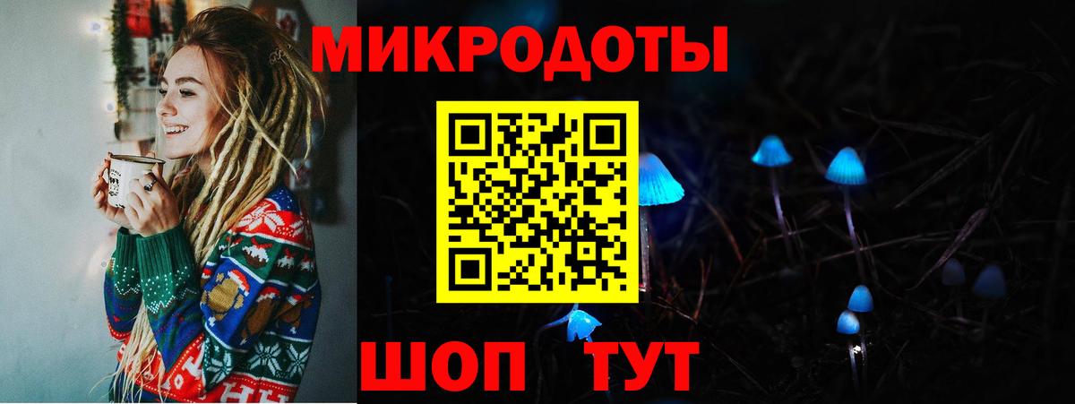 Пенза  Галлюциногенные грибы Cubensis  где можно купить   Вход с VPN 